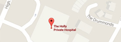 The Holly Hospital